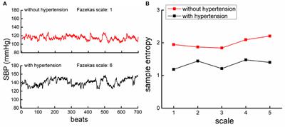 Multiscale Dynamics of Blood Pressure Fluctuation Is Associated With White Matter Lesion Burden in Older Adults With and Without Hypertension: Observations From a Pilot Study